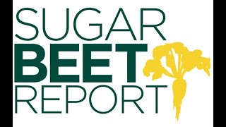 The SugarBeet Report audio only NDSU Dr Tom Peters April 11 2024 [upl. by Kathie272]