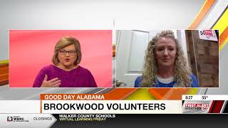 Volunteering at Brookwood  WBRC Fox 6 [upl. by Enowtna933]