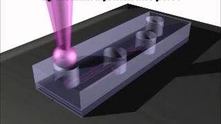 Gravityoriented microfluidic device for uniform and massive cell spheroid formation [upl. by Alomeda]