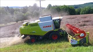 CLAAS LEXION  750  440  IM EINSATZ  2017  KURZVIDEO [upl. by Wainwright935]