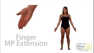 Finger Flexion Extension [upl. by Kutzenco]