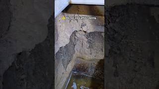 Inside a Septic tank sewage ejector system  tools trade DIY [upl. by Ydnew]