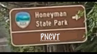 Video Tour of Honeyman Campground  Florence OR PNCVT [upl. by Diamante326]