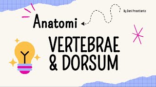 Anatomi Vertebrae amp Dorsum [upl. by Lamaj434]