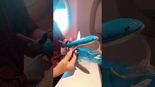 KLM MD11  Assembling a Model Plane Inside a Plane plane travel flight shortvideo flying fyp [upl. by Assilat]