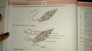 11th class biology chapter 2 systematics of living organisms solutions notes [upl. by Huber622]