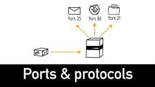 Ports amp Protocols Explained in 4 minutes [upl. by Hazmah]