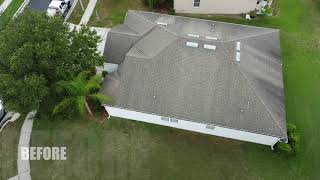 Shingle Roof  Soft Wash Before amp After [upl. by Kuska]