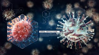 Virus and Bacteria Animation  After Effects Template [upl. by Erik]