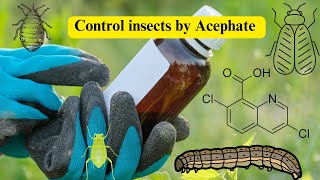 Acephate Insecticides Effective Pest Control Solutions in cotton fruits and vegetables [upl. by Flower926]