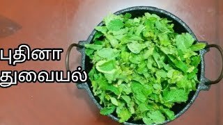 புதினா துவையல் செய்வதுஎப்படிMint thogayalputhina thuvayalthuvayal recipe n Tamilputhina chutney [upl. by Carolina]