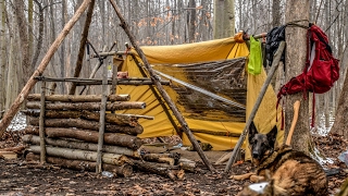 Overnight Bushcraft Camp with my Dog  Long Fire Wool Blanket Fire Reflector [upl. by Ocram932]