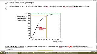 Physiologie respiratoire 4 [upl. by Lehcim]