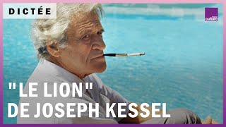 La Dictée géante  quotLe Lionquot de Joseph Kessel [upl. by Carpet]