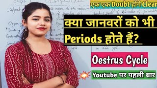 Oestrus Cycle  क्या जानवरों को भी Periods होते हैं  Periods In Animals  Types Of Periods [upl. by Fifine560]