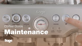 The Barista Express™  How to perform a clear water backflush on your machine  Sage Appliances UK [upl. by Iveson]