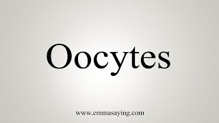 How To Say Oocytes [upl. by Eisnyl]