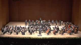 Tchaikovsky Symphony No 5 Op 64 [upl. by Ivie]