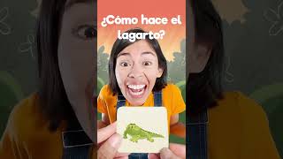 🦎 menique leon lagarto lobo videosgraciosos 123andres alfabeto aprendeespañol education [upl. by Llenil247]