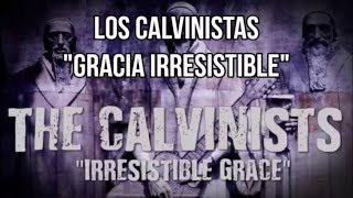 Los Calvinistas  Gracia Irresistible [upl. by Towny]