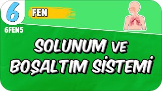 Solunum ve Boşaltım Sistemi 📗 6FEN5 2025 [upl. by Kilbride]