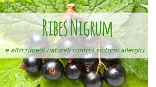 Ribes nigrum e altri rimedi naturali contri i sintomi allergici [upl. by Gnak69]