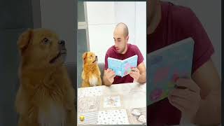 🐕😂😂pet funny dog foryou asmr shorts [upl. by Ellenwad]