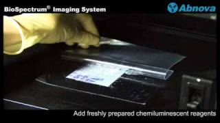 BioSpectrum® Imaging System [upl. by Delisle]