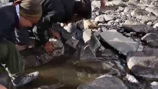 Kashmir Great Lakes Trek  Vishansar Trout Fishing by Hand [upl. by Benilda165]