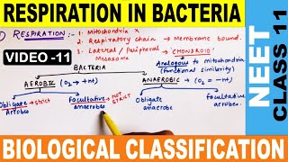 Respiration in Bacteria  Biological Classification  Monera  Class 11  NCERT  NEET 2020 [upl. by Nooj]