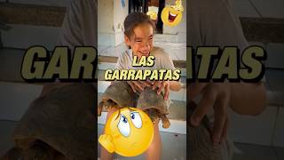 Las garrapatas gigantes [upl. by Pieter]