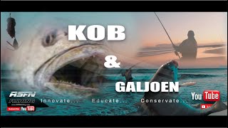 Targeting KOB AND GALJOEN  Our fish  ASFN Rock amp Surf [upl. by Romilda]