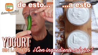 Yogurt desde cero ¡INCREÍBLE  Cocina Vegan Fácil [upl. by Simetra]