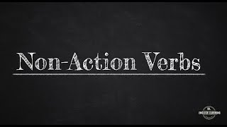 Non action Verbs [upl. by Moraj]