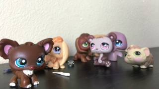 LPS Comments Section IRL Inspired by LPS Honey [upl. by Pardo329]