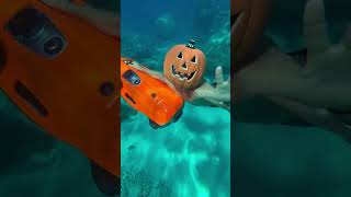 Dive into spooky season with SEABOB and explore our underwater world with Halloween magic yachts1 [upl. by Ylerebmik]