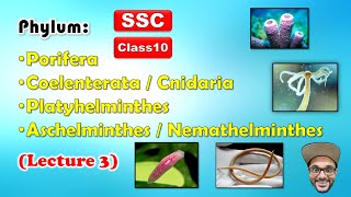 Animal Classification Lecture 3  Phylum 14  Class 10  SSC  Maharashtra state board [upl. by Ycnan]