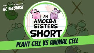 Plant vs Animal Cell  Amoeba Sisters Shorts [upl. by Enella926]