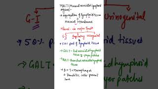 What is MALTmucosal associated lymphoid tissue biologyshort shorts [upl. by Everick35]