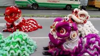 Lion Dance Performers in KuchingSarawak [upl. by Aigneis996]