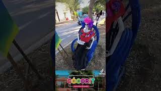 PUEBLO MAGICO pueblomagico viaje turismo parati fyt Viral diademuertosmexico catrina feria [upl. by Kamila]