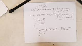 Genetics L26A Transposable Element Classes and LINEs Recommend 15x Speed [upl. by Siseneg]