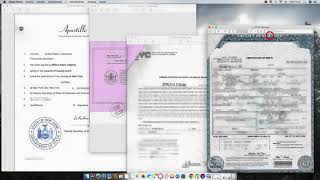 How to Apostille a New York City Birth Certificate with an exemplification letter [upl. by Herman]