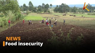 Farmers counting losses from various pars of the country due to heavy rains [upl. by Mcdougall]