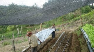 En Que Consiste una Granja Integral  TvAgro por Juan Gonzalo Angel [upl. by Ynnij]