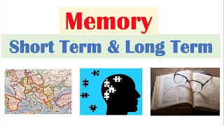 Types of Memory  Short Term amp Working Memory Long Term Memory Explicit and Implicit [upl. by Kerwon567]