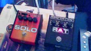 Quick Review  ProCo SOLO vs RAT2 [upl. by Erminia]