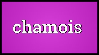 Chamois Meaning [upl. by Iilek862]