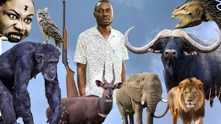 Eeii😒WONDERS I met the biggest african BUFFALO and ELEPHANT in the deep forest where SPIRITS meet [upl. by Irmgard]