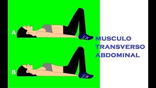 Ejercicio musculo transverso abdominal [upl. by Jasmin766]